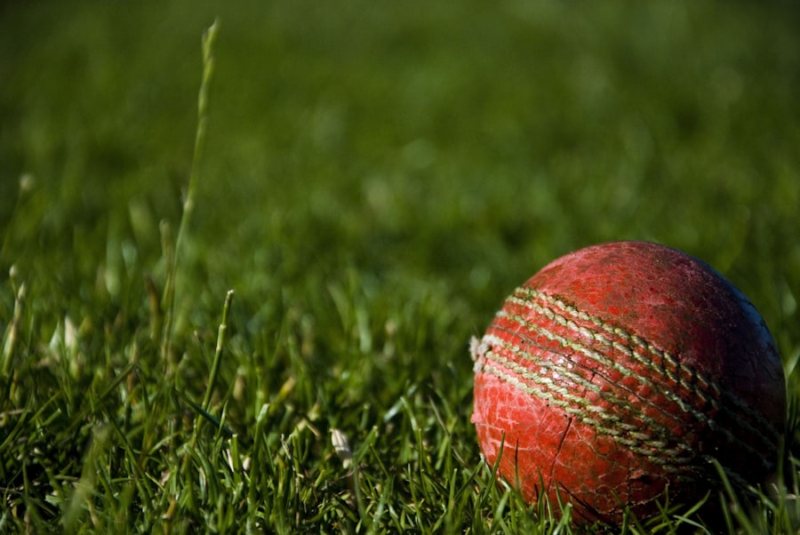Live cricket betting with Mahakal Online
